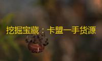 挖掘宝藏
：卡盟一手货源网站的精髓